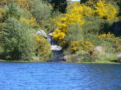 Lago As Pontes